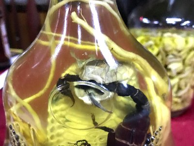 Cobra biting Scorpion in rice whiskey